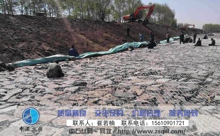 中石生態格網 中石生態格網