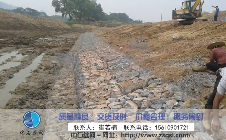 石籠網是生命之網 石籠網是生命之網